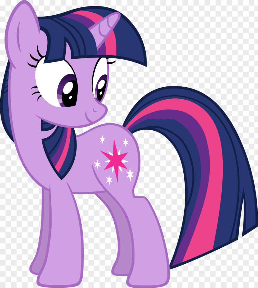 Twilight Sparkle Pinkie Pie Rarity The Saga My Little Pony PNG