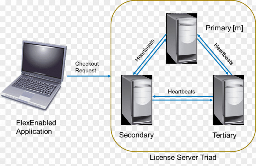 Computer Software License Server Servers Hardware FlexNet Publisher PNG