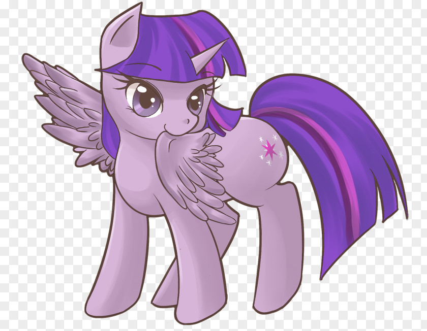 Pony Twilight Sparkle Rainbow Dash Pinkie Pie Princess Celestia PNG