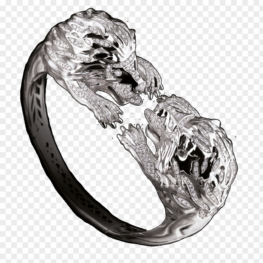 Silver Body Jewellery PNG