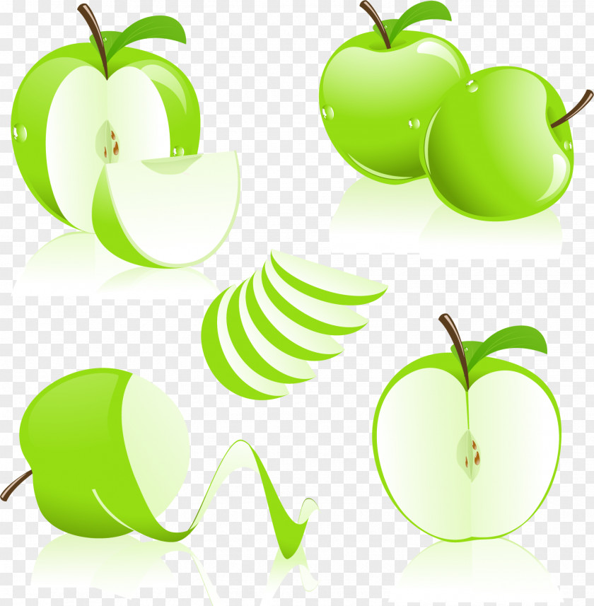 Vector Painted Green Apple Graphic Design Clip Art PNG
