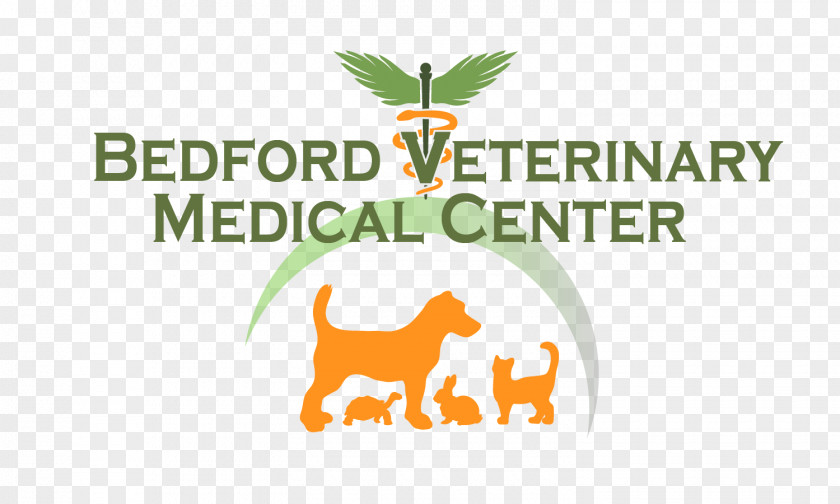 Dog Bedford Veterinary Medical Center Veterinarian Medicine Lowell Road PNG