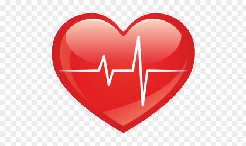 Heart Electrocardiography Rate PNG