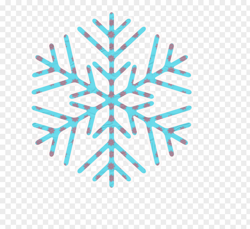 Snowflake Elements ICO Icon PNG
