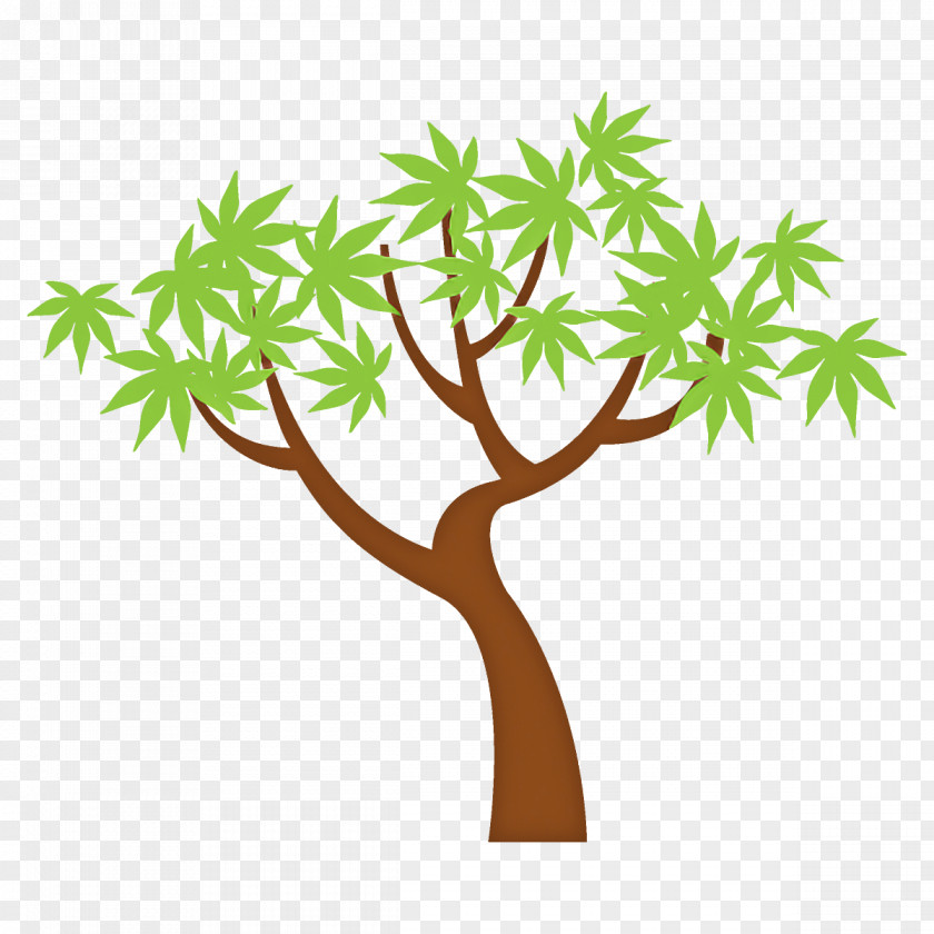 Tree Leaf Branch Plant Woody PNG