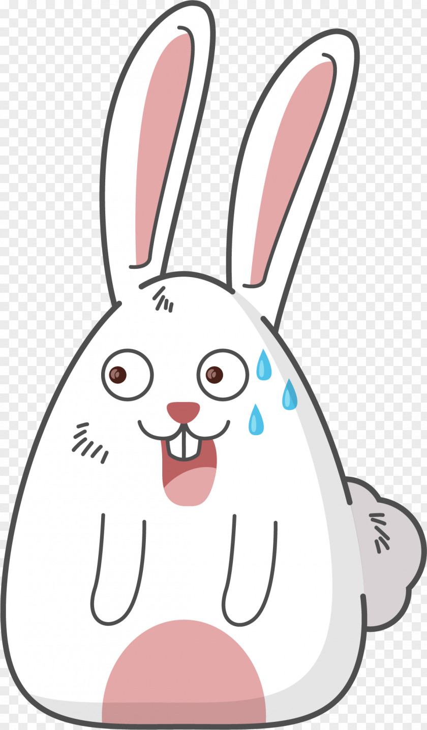 A Small White Rabbit In Cold Sweat Laughter Cartoon PNG