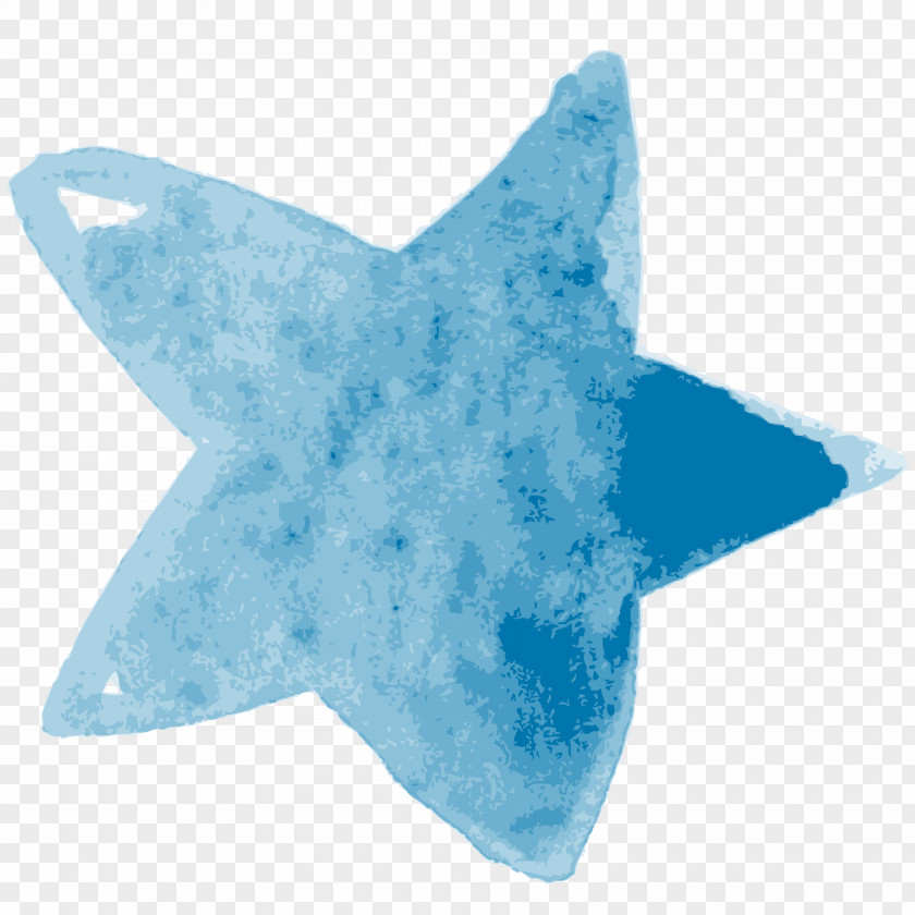 Blue Star Download Icon PNG