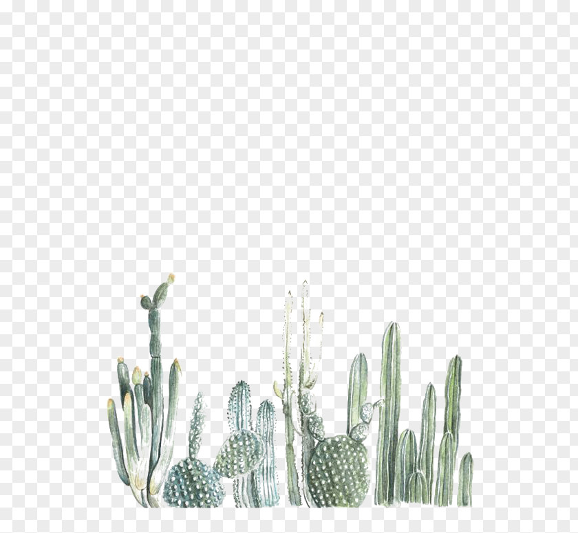 Cactus Cactaceae Paper Printing Painting Printmaking PNG