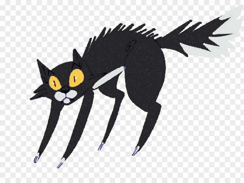 Cat Whiskers Dog Canidae PNG