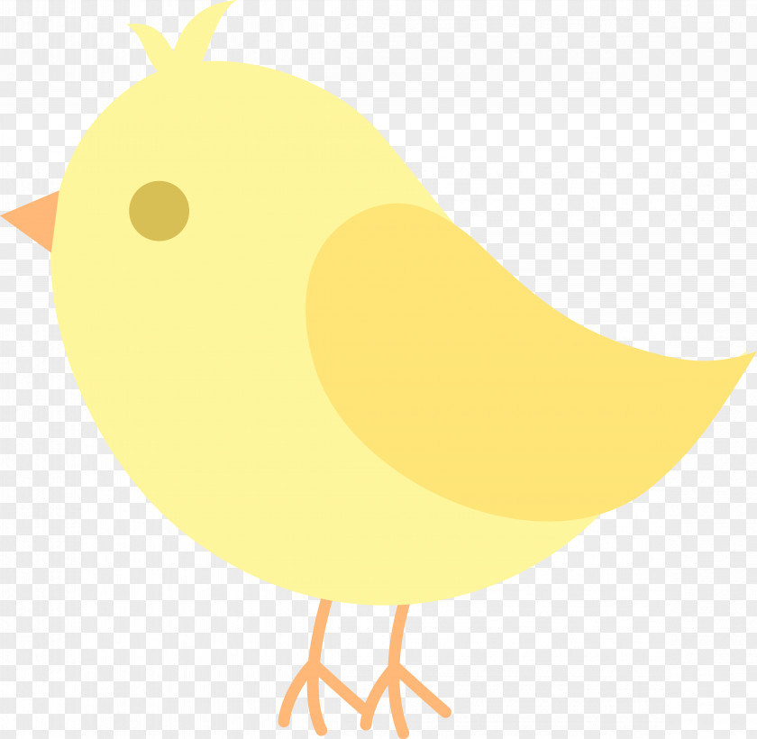 Cute Bird Clipart Chicken Beak Clip Art PNG