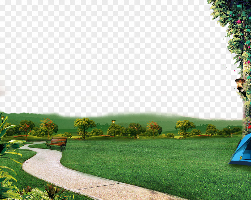 Green Grass Lawn Garden Yard Google Images PNG