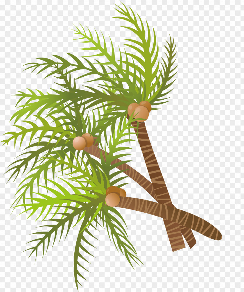 Vector Hand Painted Green Coconut Tree Arecaceae Euclidean PNG