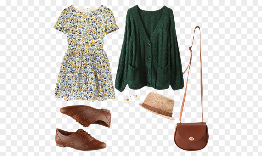 Vintage Floral Dress Clothing Fashion Polyvore Spring PNG