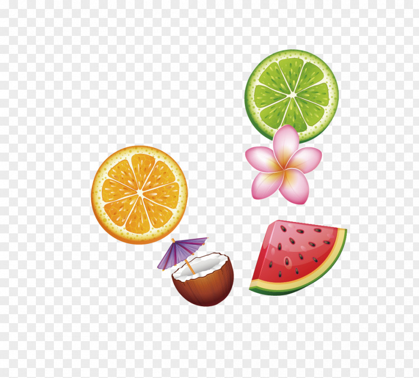 Watermelon 1 FREE Android PNG