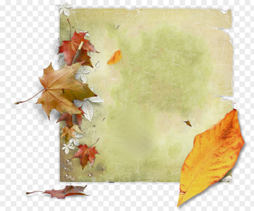 Book Label Autumn Maple Leaf Clip Art PNG