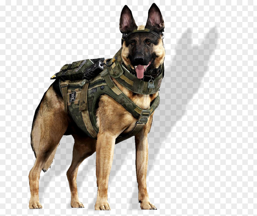 Call Of Duty: Ghosts German Shepherd Great Dane Malinois Dog Labrador Retriever PNG