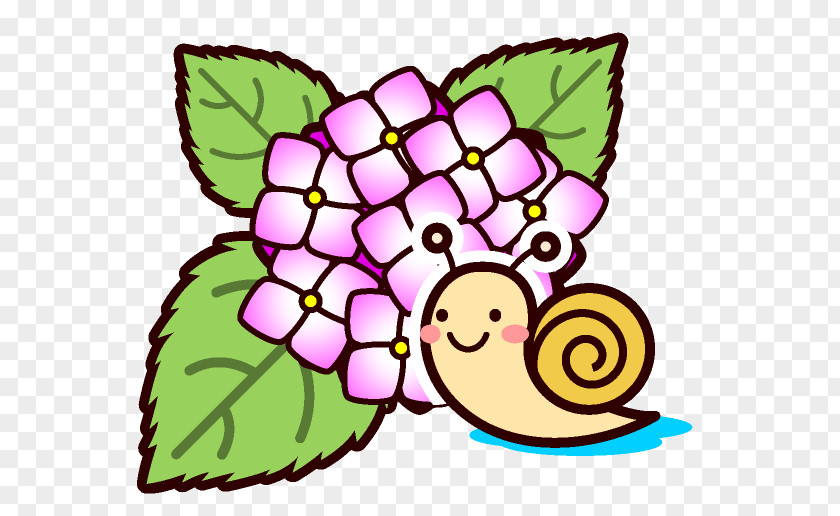 French Hydrangea Snail Image East Asian Rainy Season Illustration PNG