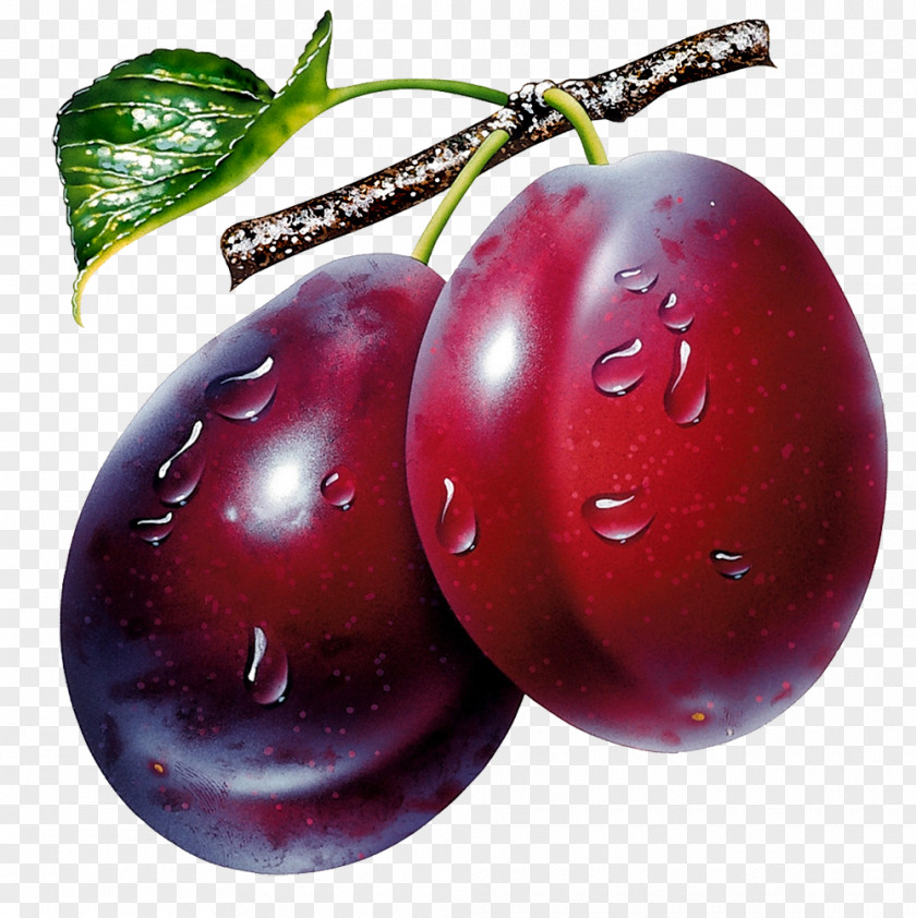 Java Plum Fruit Clip Art PNG