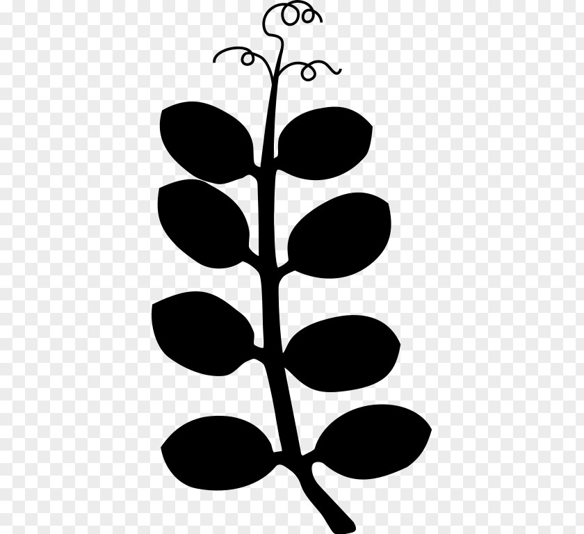 Plant Stem Leaf Clip Art Flower Pattern PNG