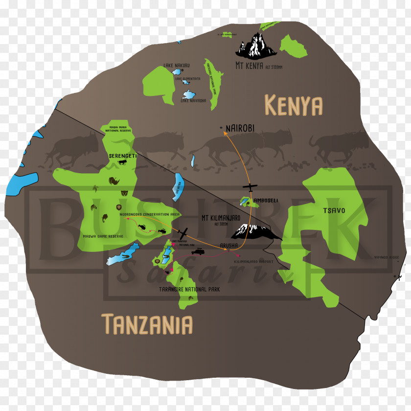 Gorilla Bwindi Impenetrable National Park Safari Ltd Wildlife Travel Itinerary PNG