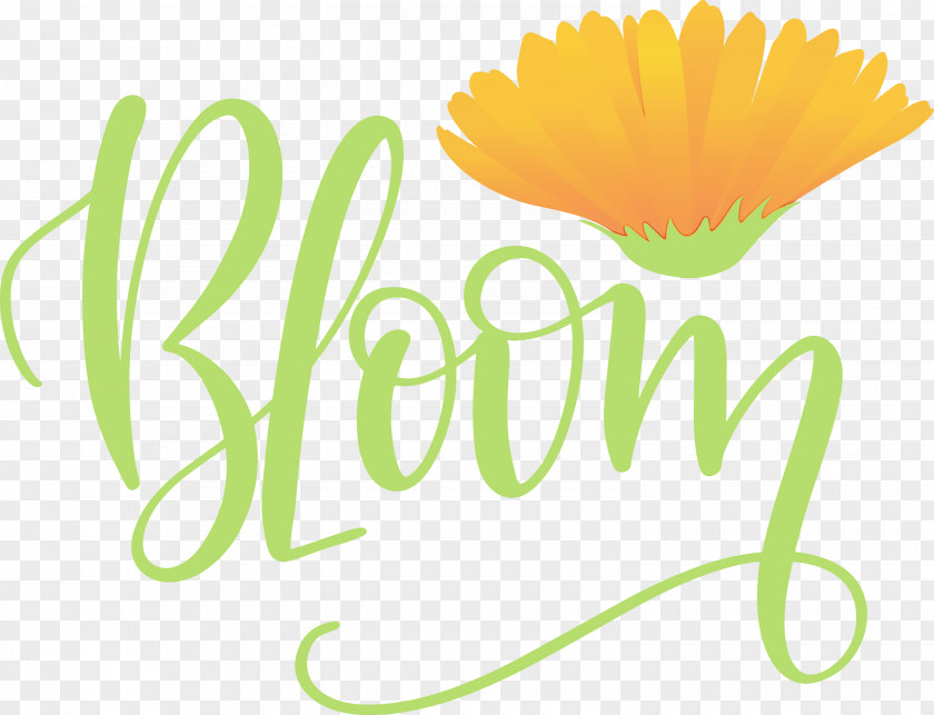Logo Text Daisy Family Flower PNG