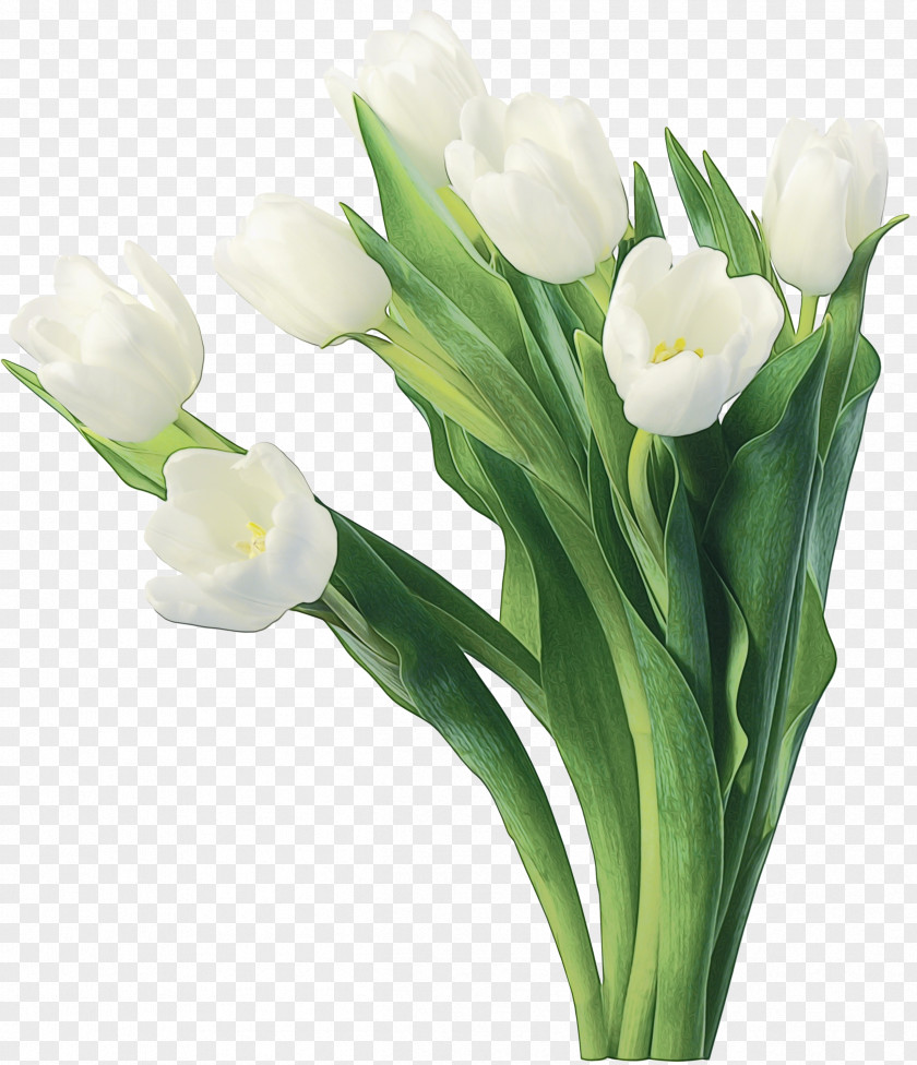 Plant Stem Artificial Flower PNG