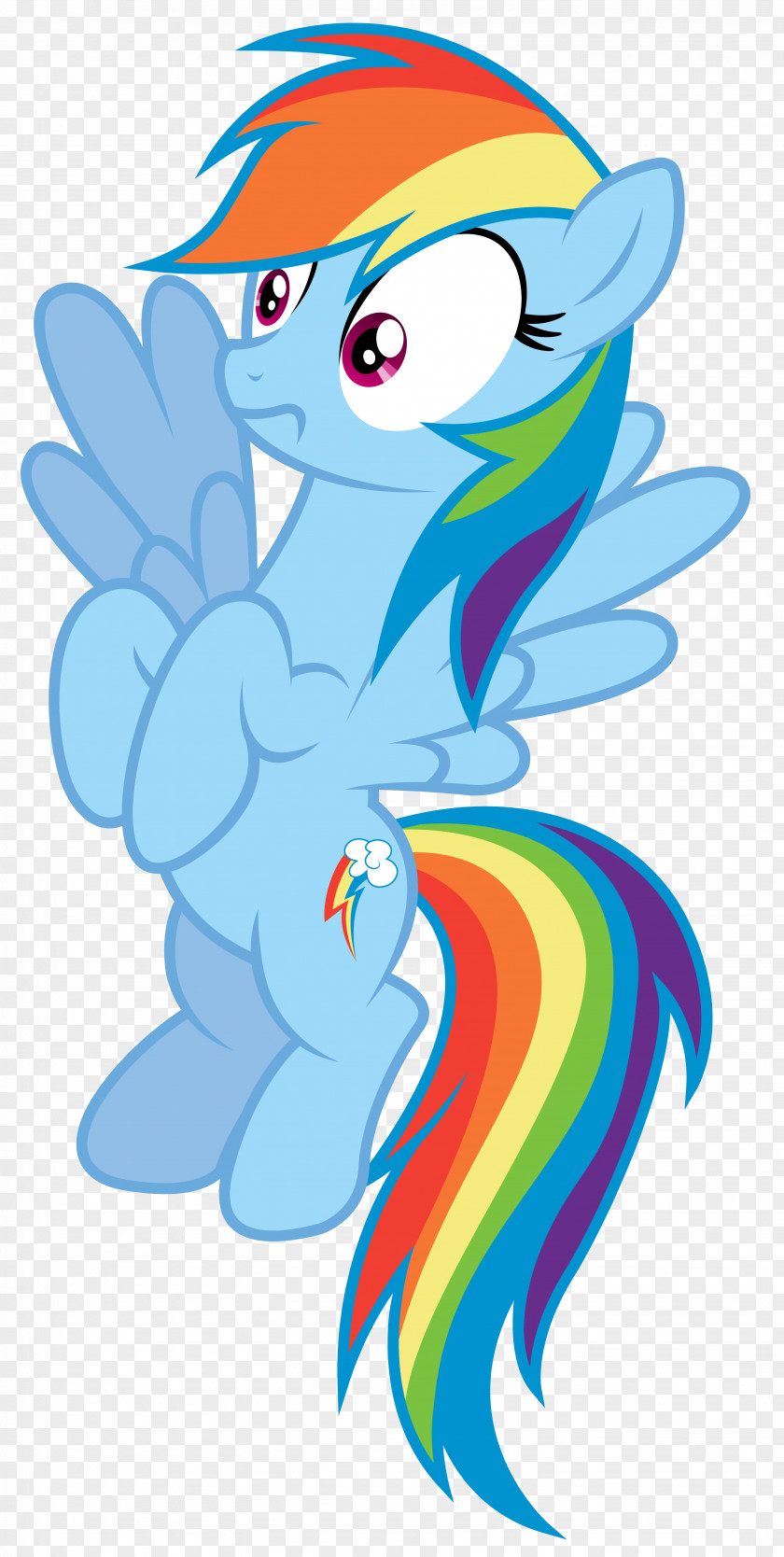 Rainbow Dash My Little Pony Art PNG