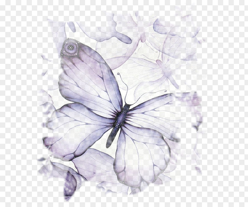 Watercolor Painting Drawing .net PNG