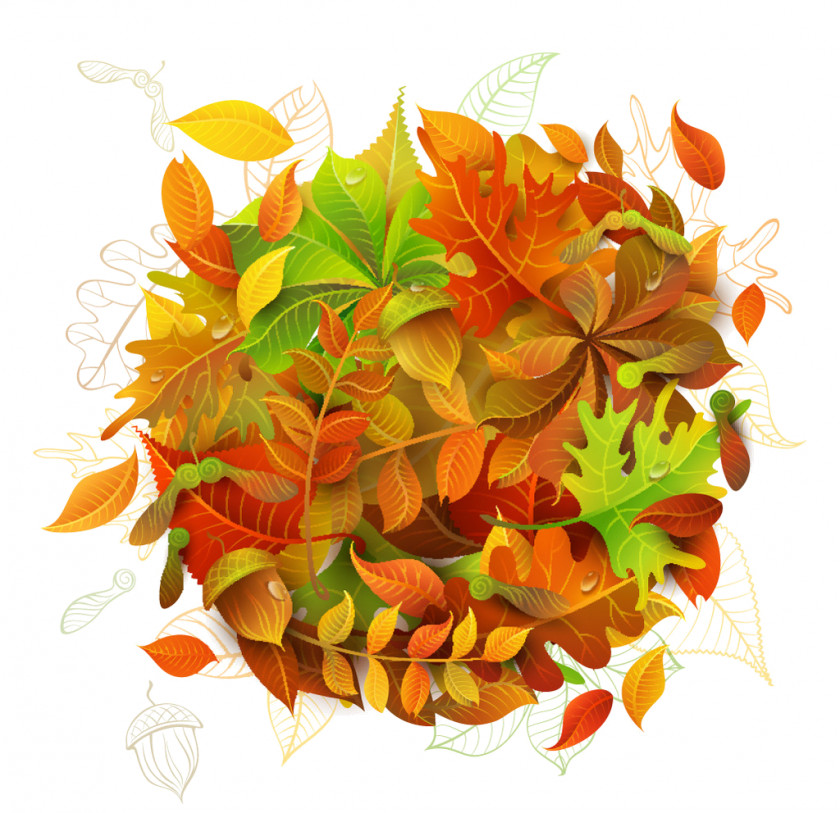 Autumn Leaves Leaf Maple PNG