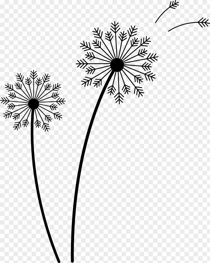 Flower Weeds Cliparts Common Dandelion Drawing Seed Clip Art PNG