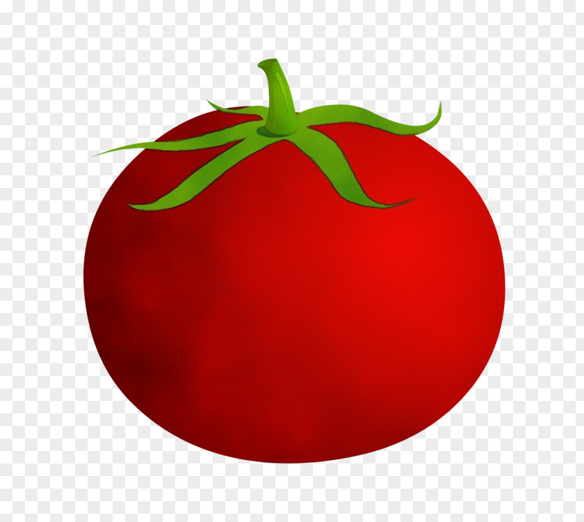 Tomato PNG