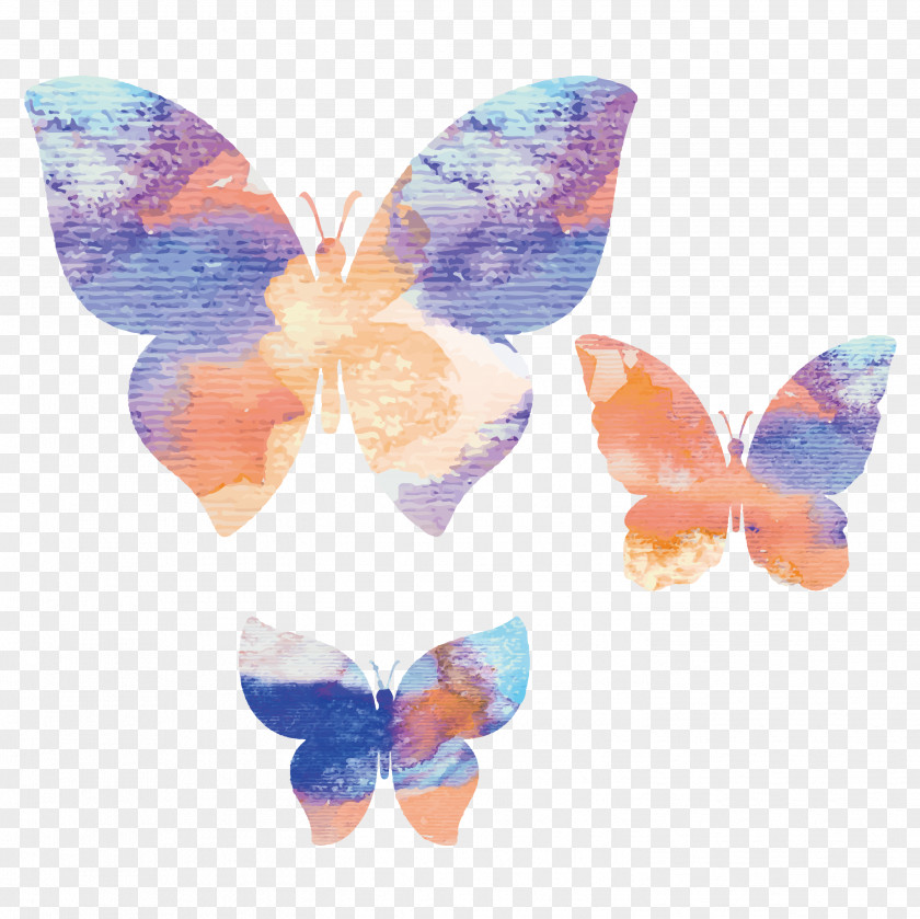 Colorful Butterfly Singles Watercolor Painting Graphic Design PNG