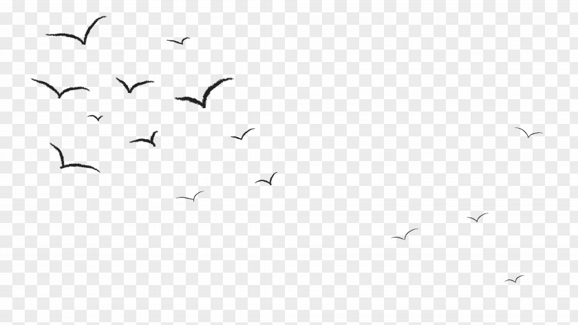 Fly Bird Crane Black And White Animal Migration Monochrome Photography PNG