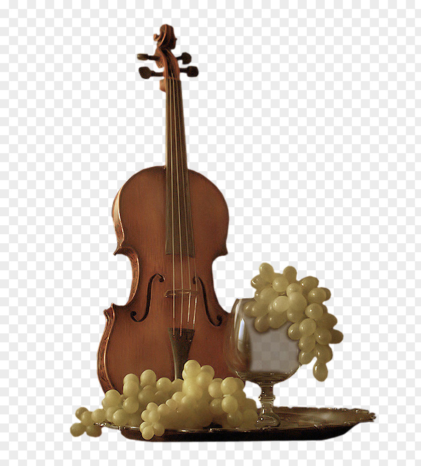 Guitar Violin Musical Instrument Viola Cello PNG