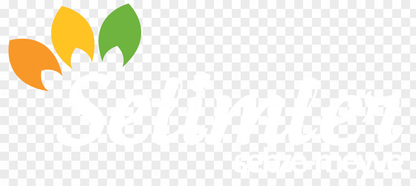 Leaf Logo Desktop Wallpaper Brand PNG
