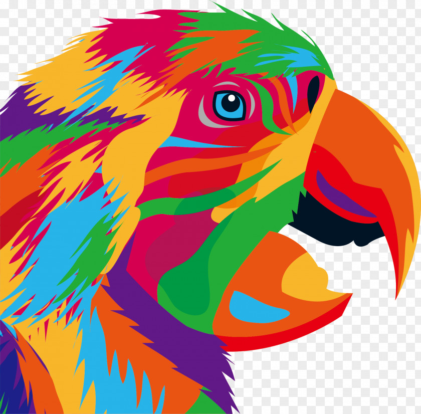 Personality Graffiti Eagle Head Portrait Parrot Bird Drawing Illustration PNG
