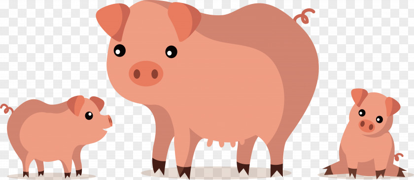 Pink Pig, A Family Domestic Pig Kyai Clip Art PNG