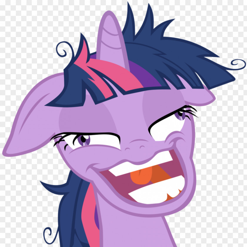 Pony Twilight Sparkle Rarity Pinkie Pie Applejack Derpy Hooves PNG