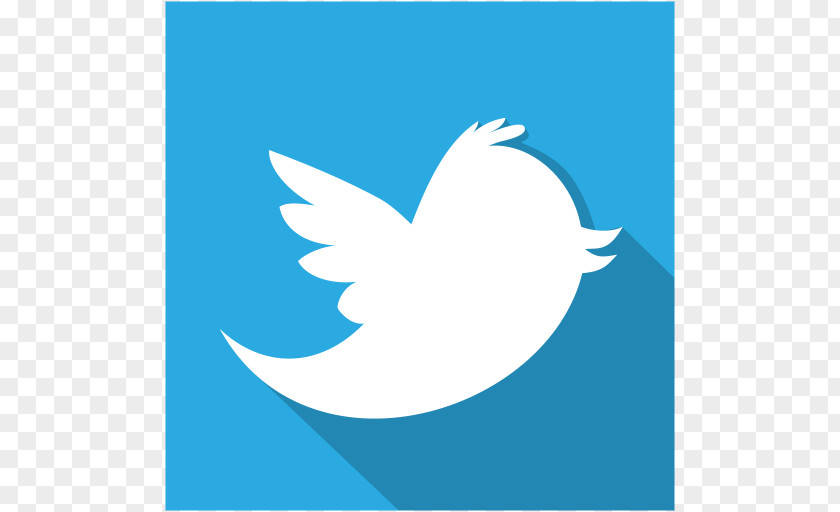 Twitter Blue Graphic Design Water Bird Text Fish PNG