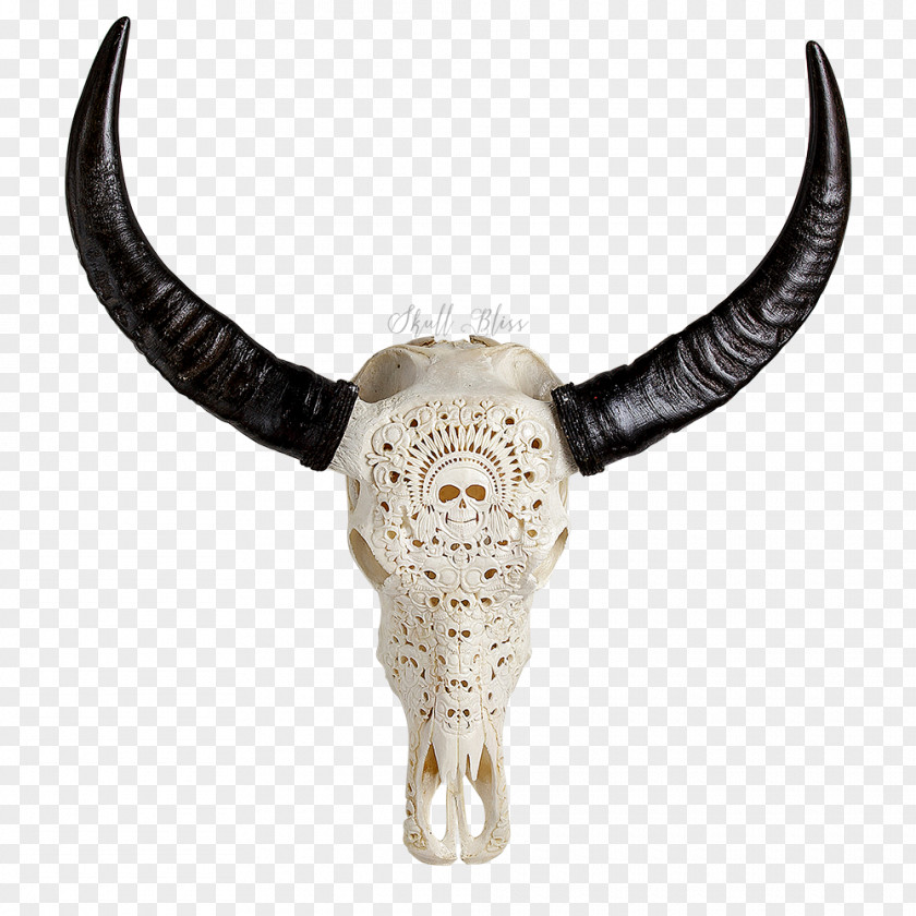 Buffalo Skull Animal Skulls Cattle Horn Bone PNG