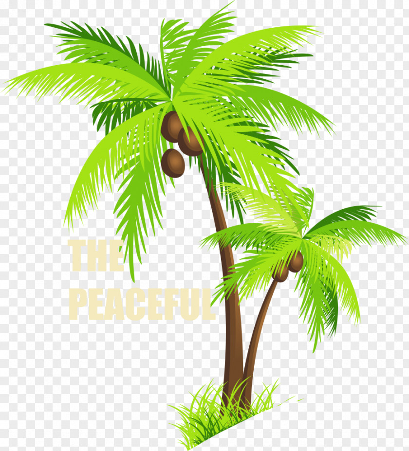 Flower Desert Palm Coconut Leaf Drawing PNG
