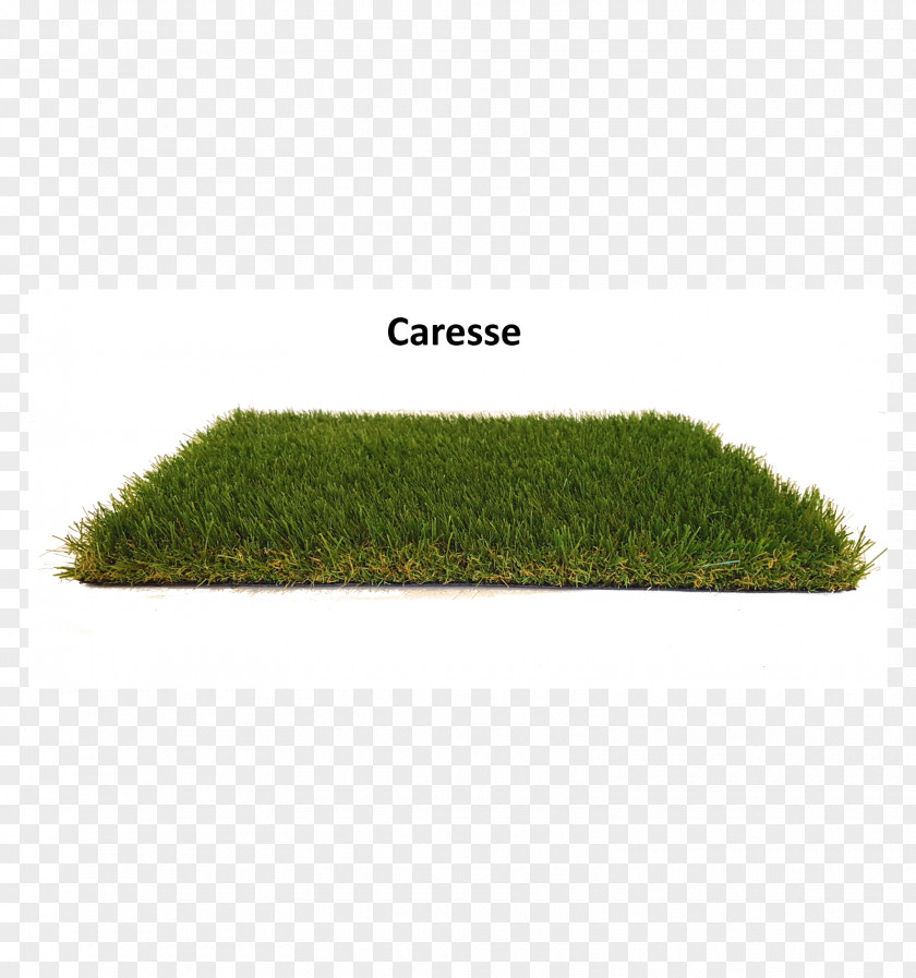 Gazon Caresse En 4m De Large Grasses AGCO PNG