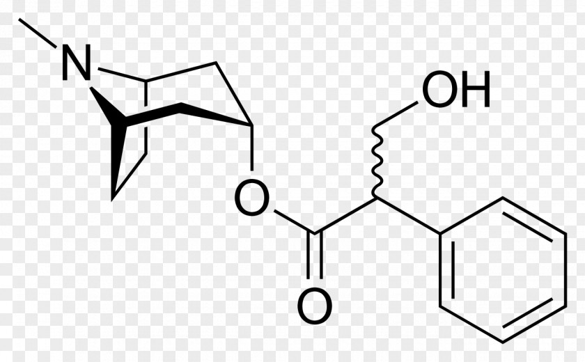 Hyoscine Hyoscyamine Belladonna Atropine Muscarinic Antagonist PNG