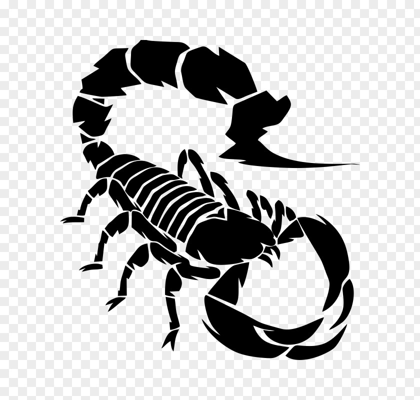 Scorpion Drawing Royalty-free Clip Art PNG