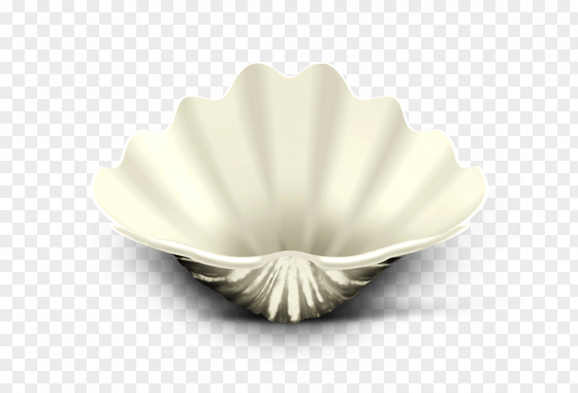 Shell Tableware Seashell PNG