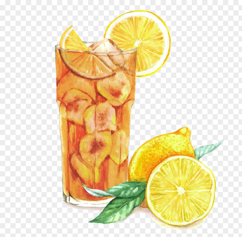 Watercolor Lemon Cocktail Painting Drawing Sloe Gin PNG