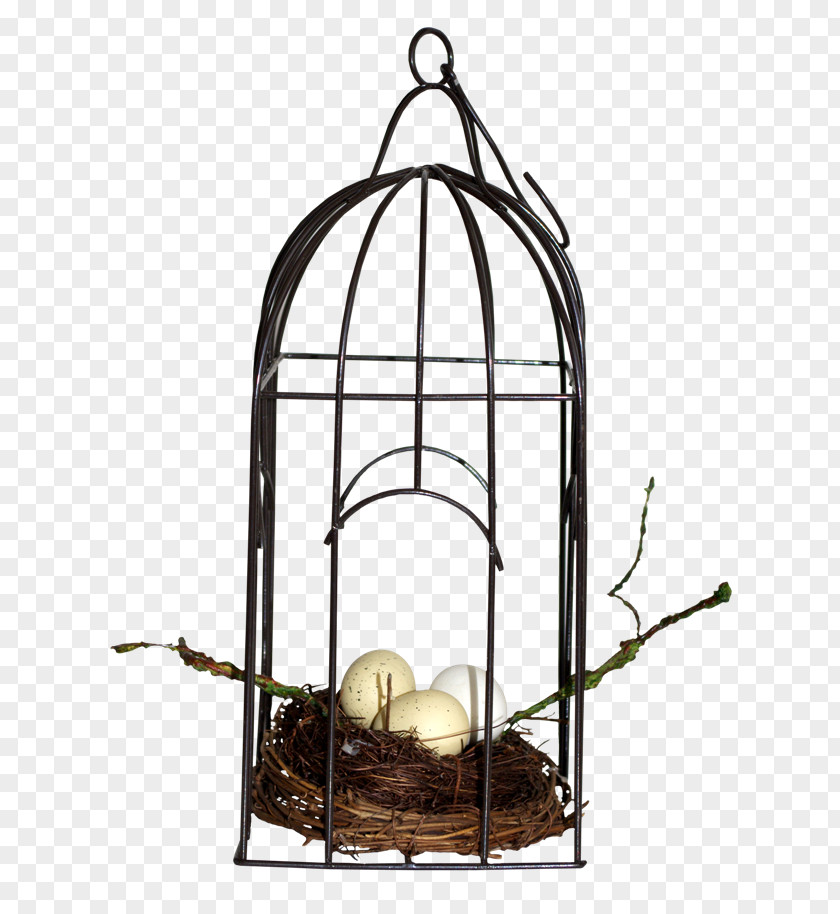Birdcage Data PNG