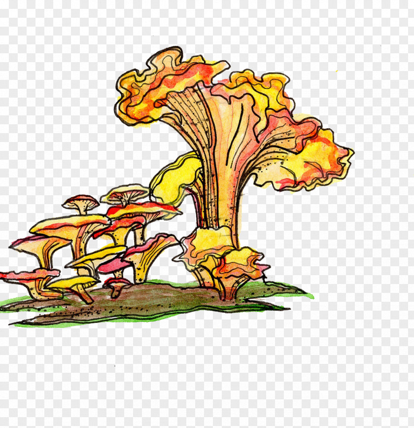 Carnivorous Plant Mushroom Cartoon PNG
