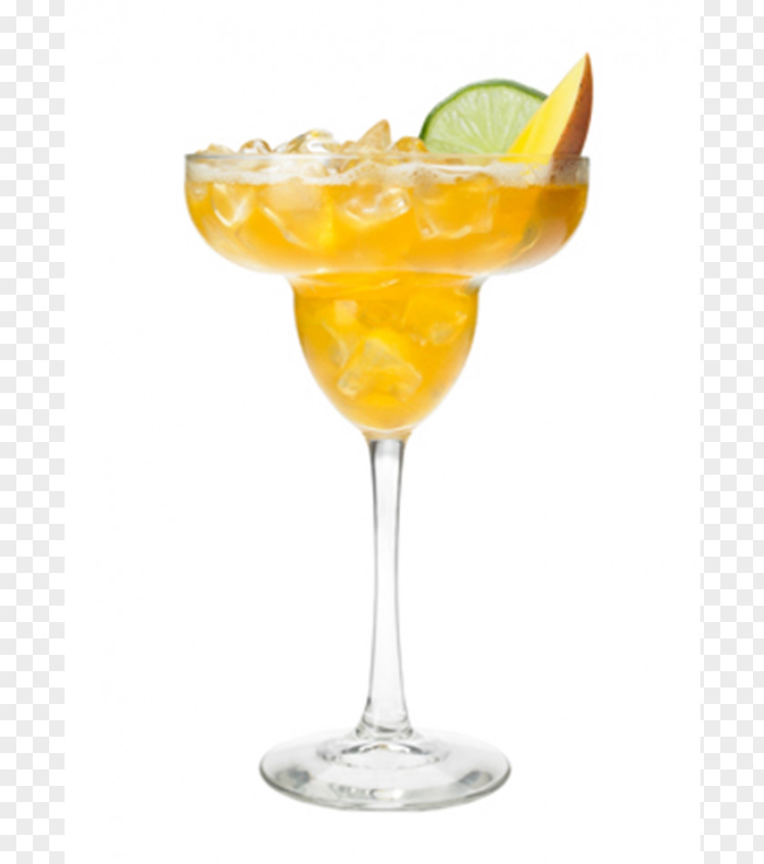 Cocktail Garnish Margarita Daiquiri Mai Tai PNG