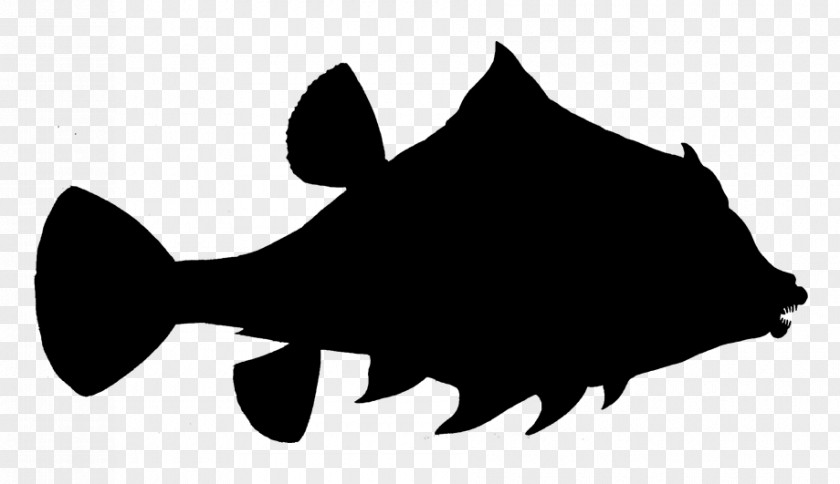 Fish Clip Art Fauna Silhouette Snout PNG